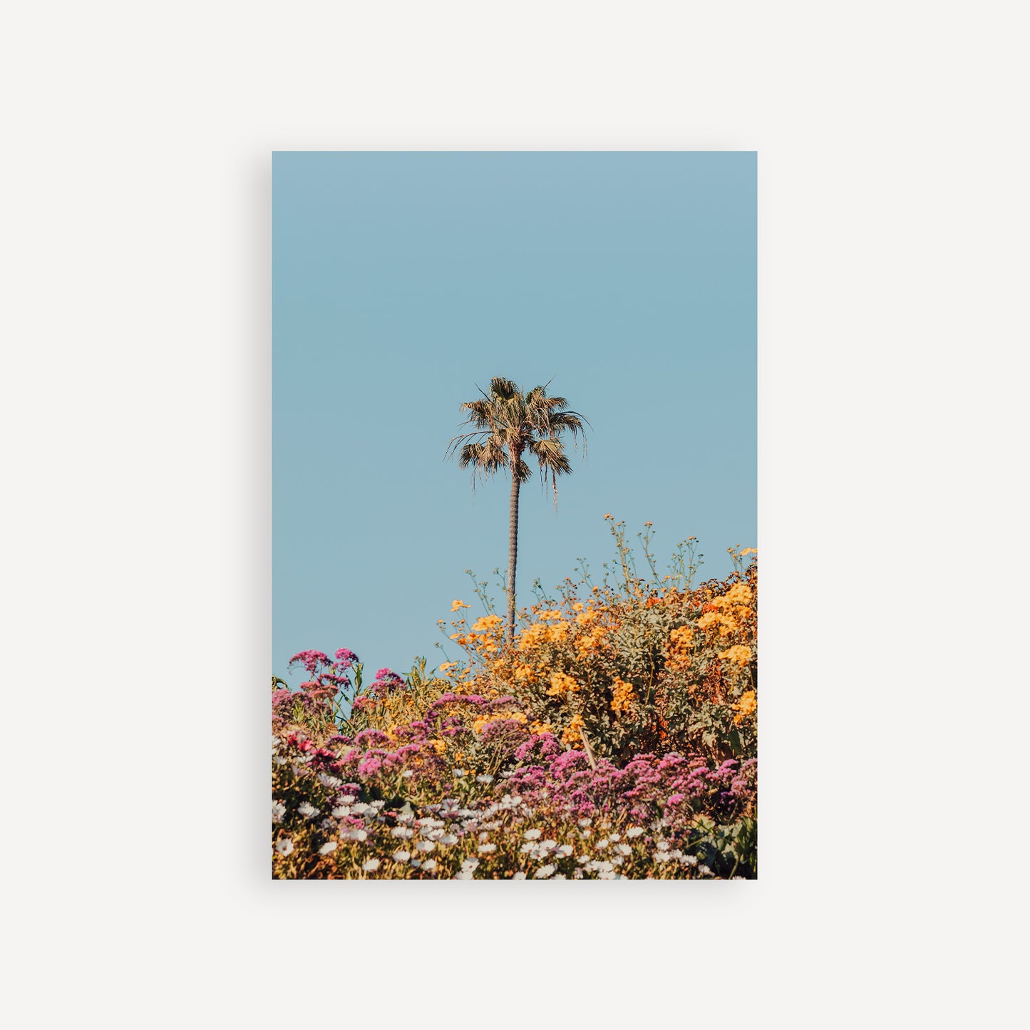 The Late Bloomer