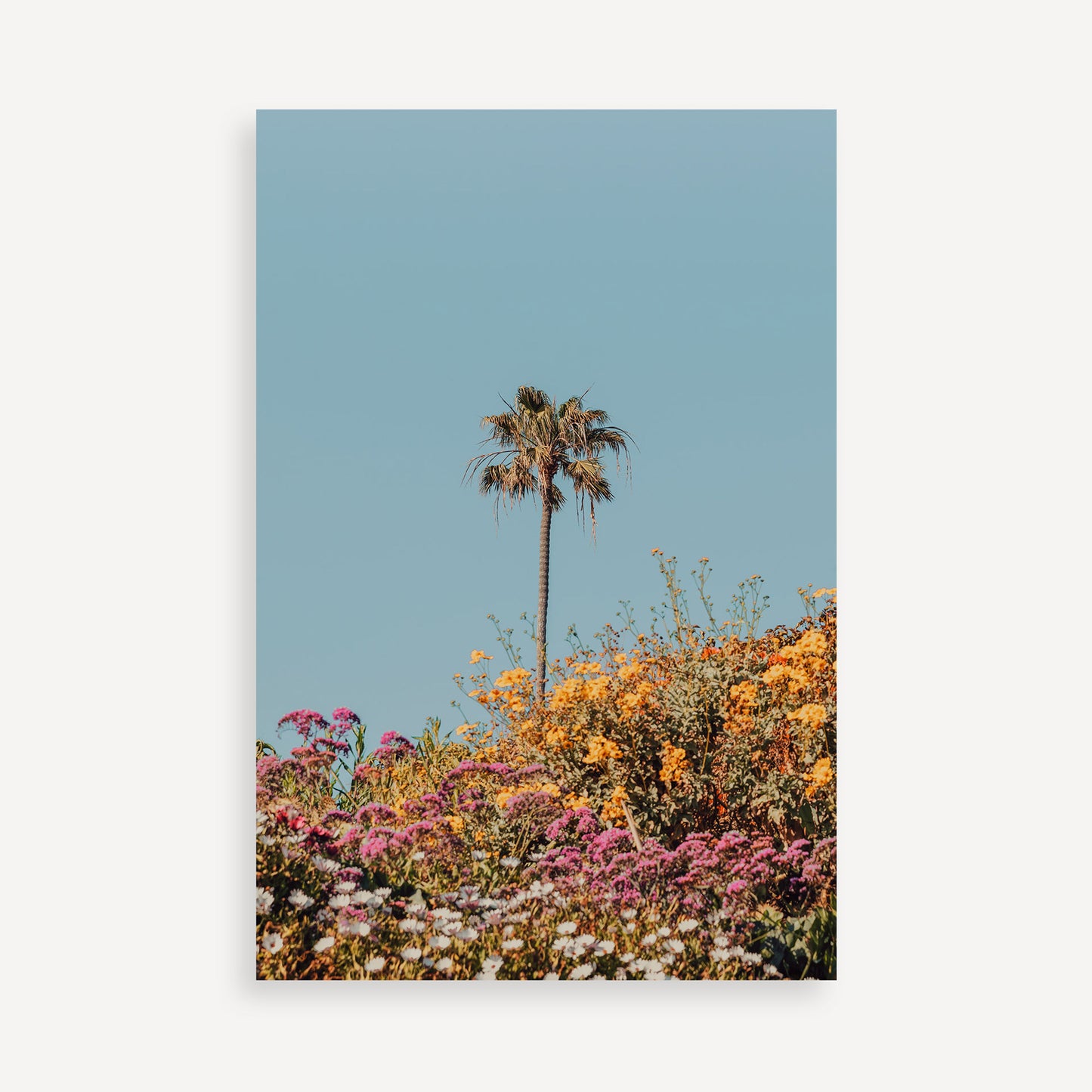 The Late Bloomer