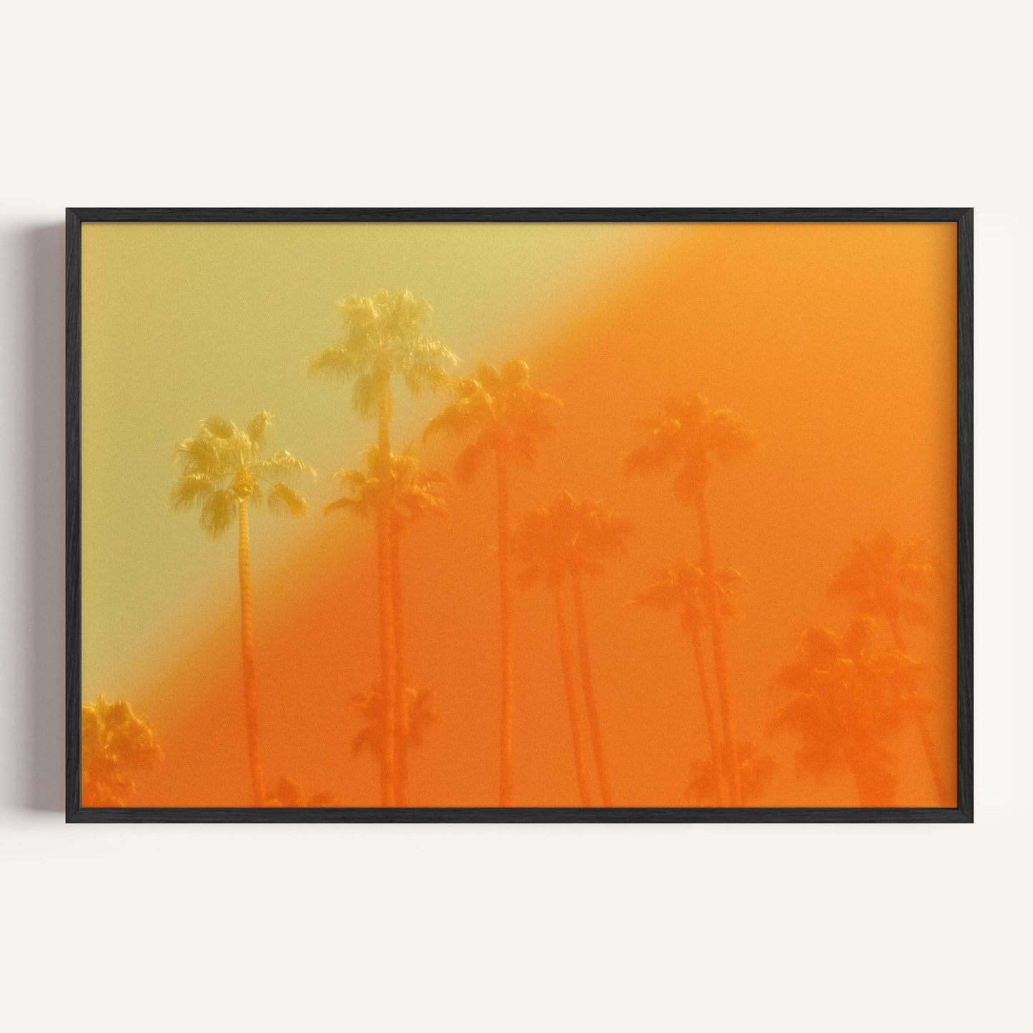 The Wildfire