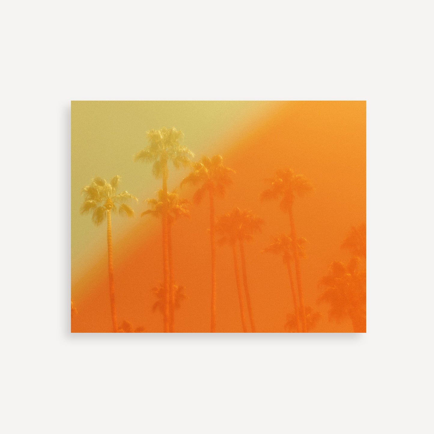 The Wildfire
