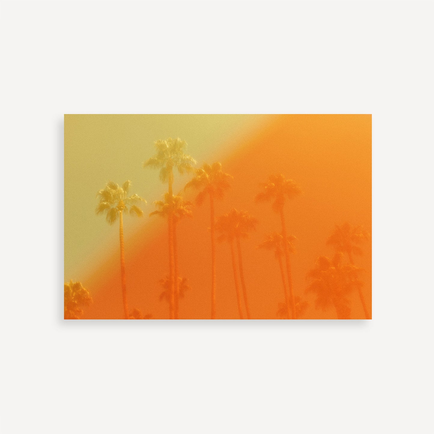 The Wildfire