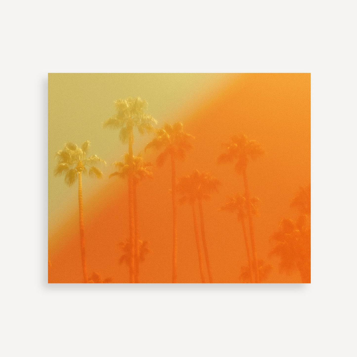 The Wildfire