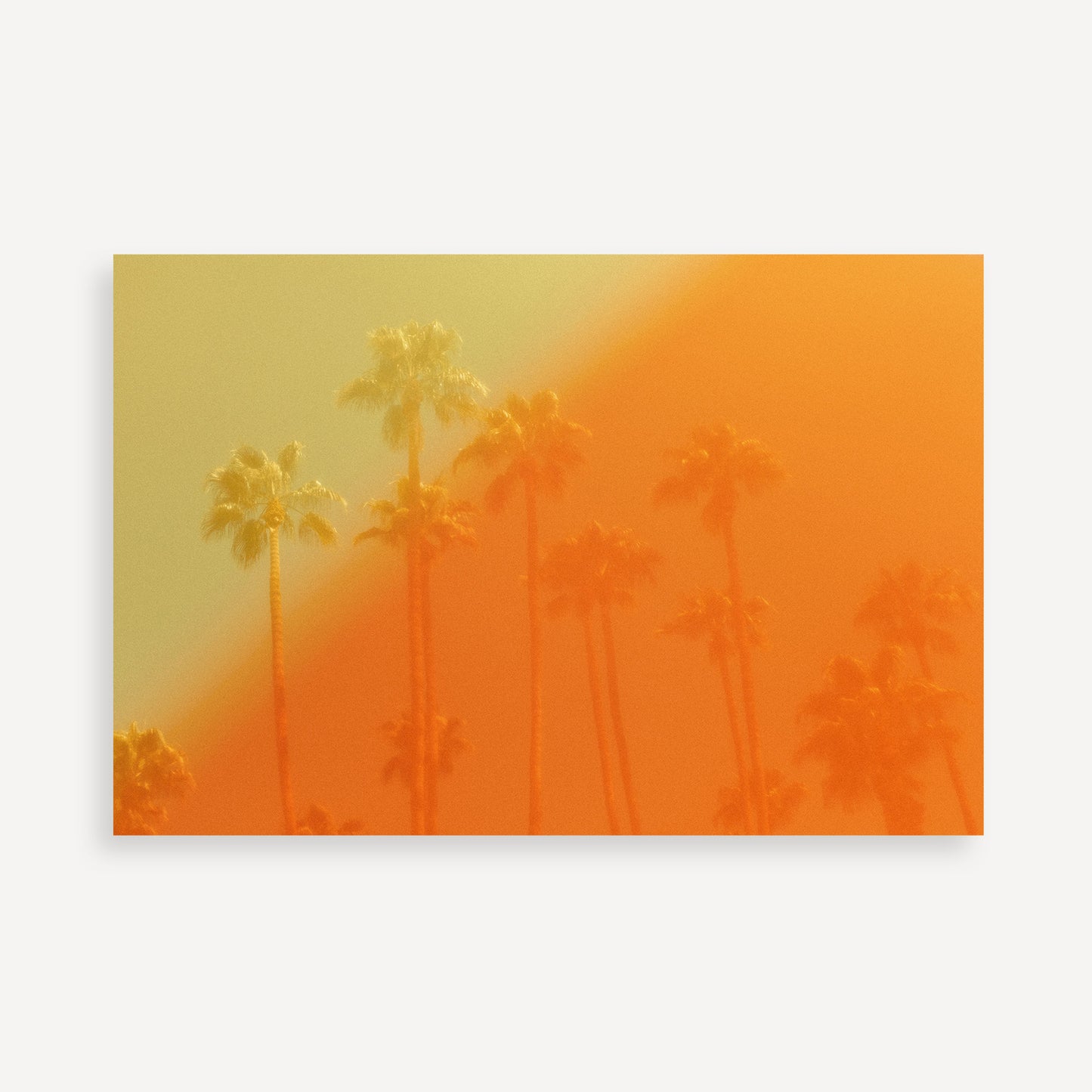 The Wildfire