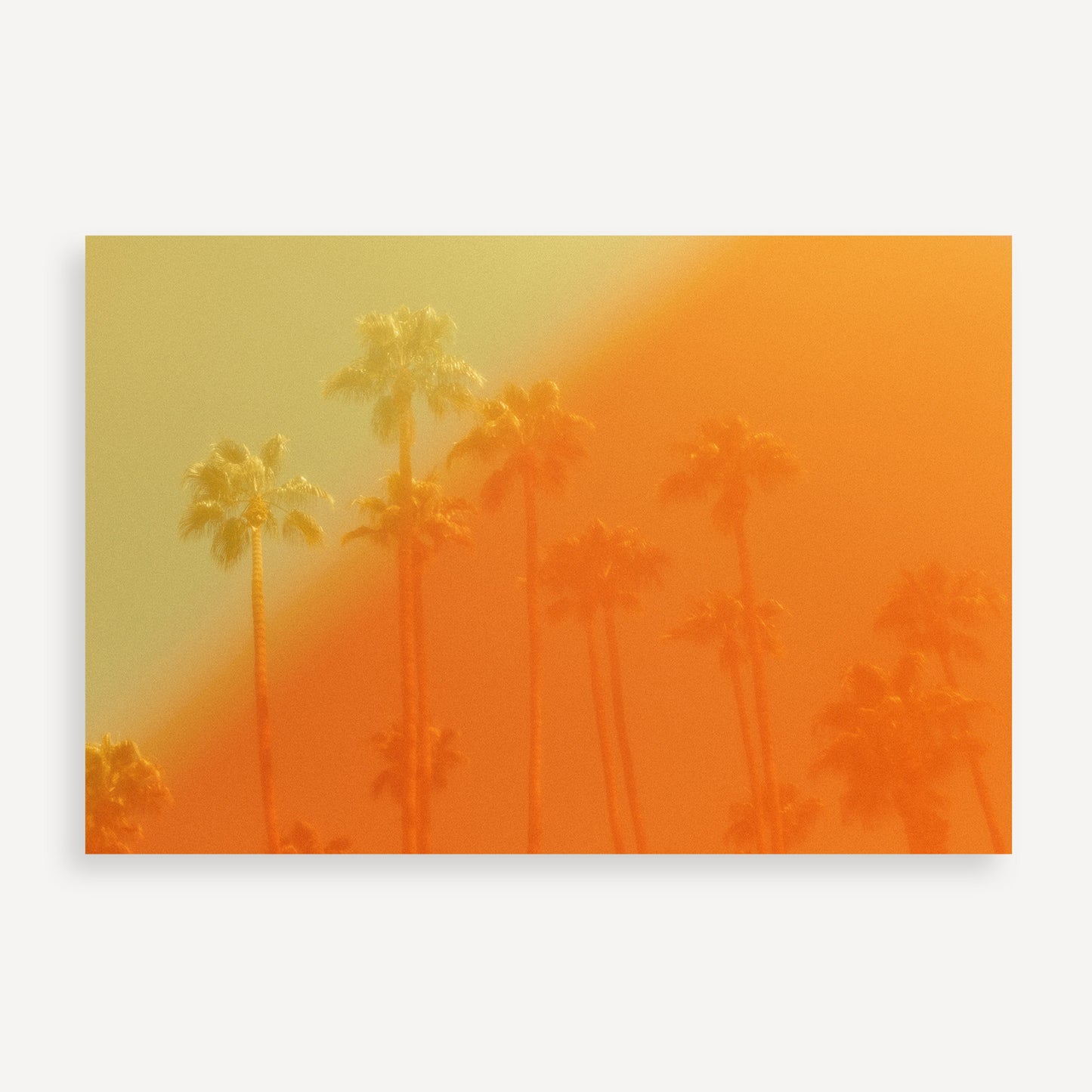 The Wildfire