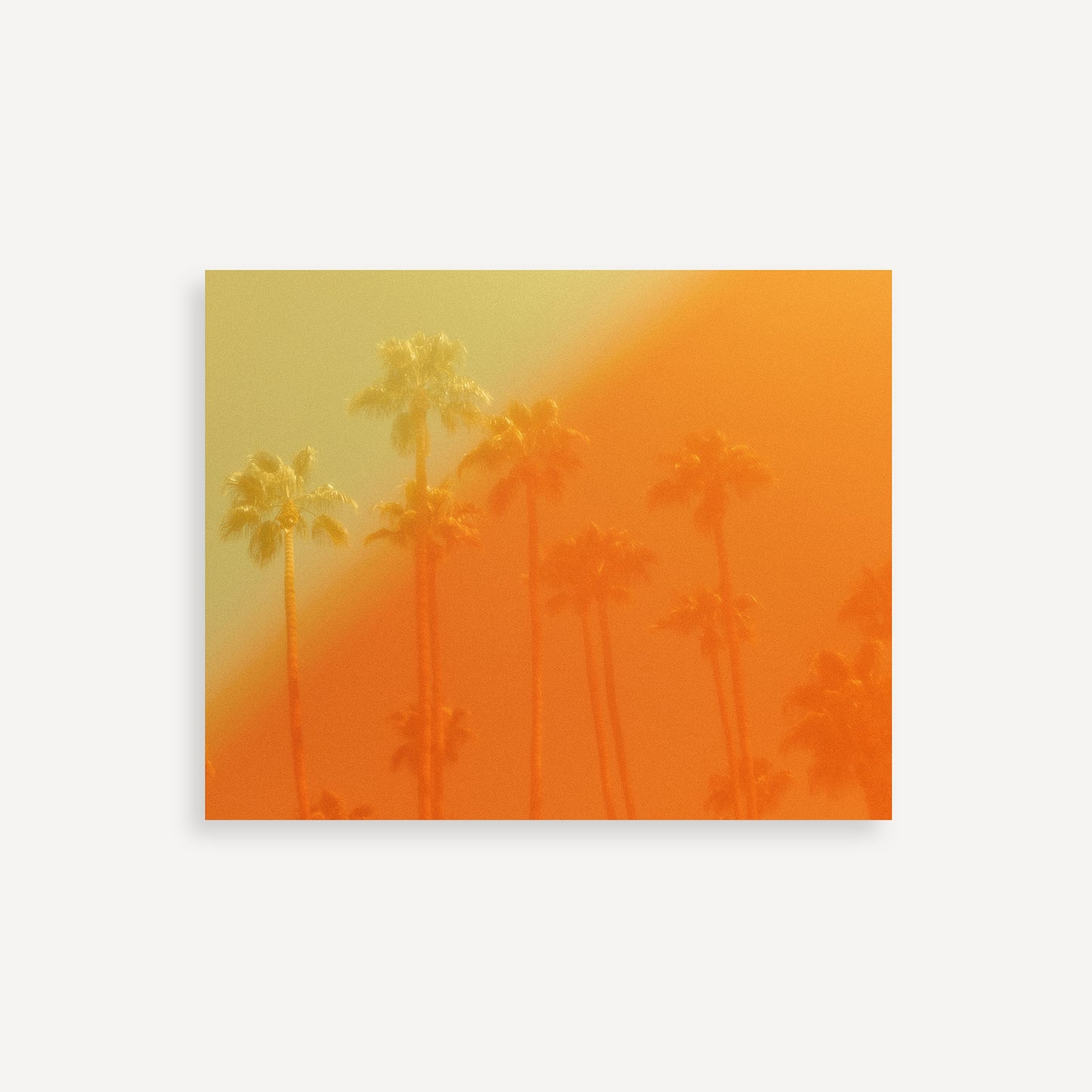 The Wildfire