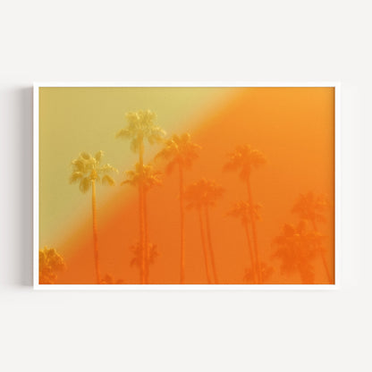 The Wildfire