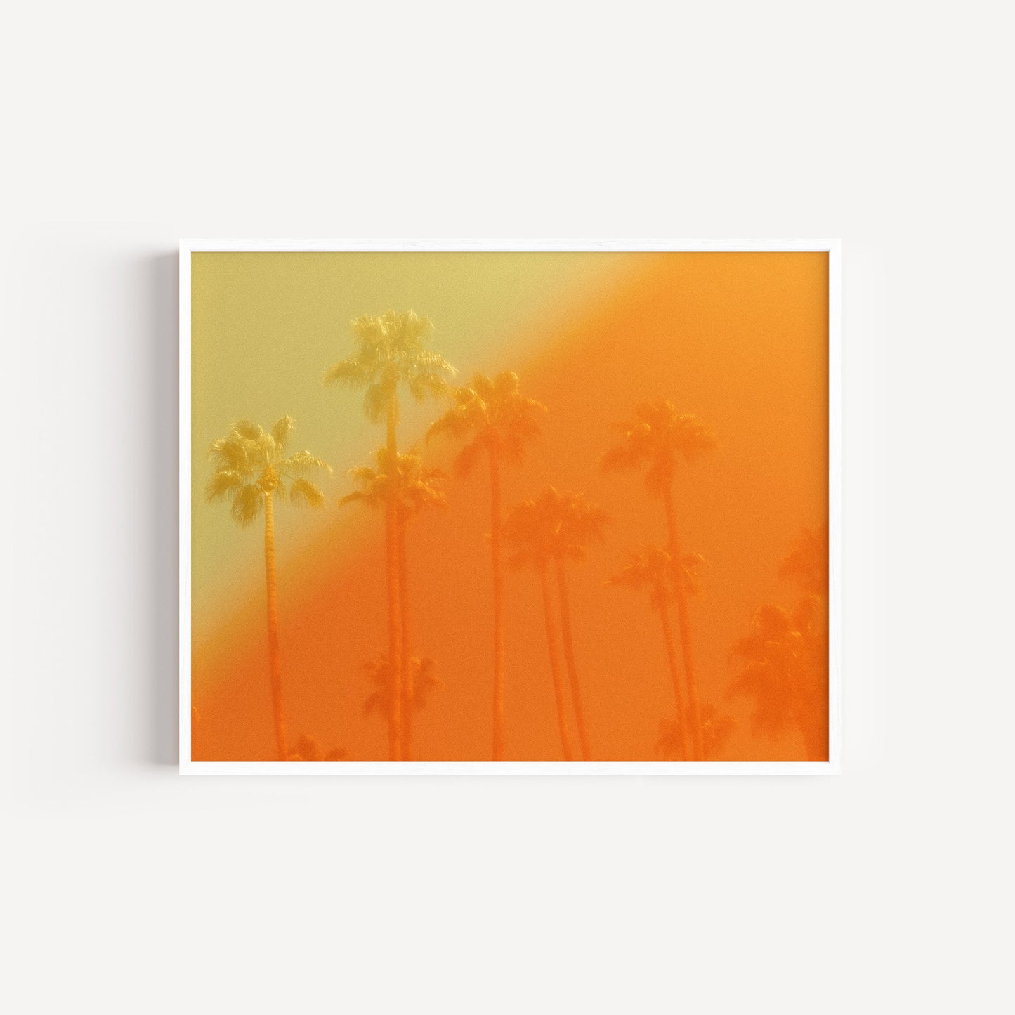 The Wildfire